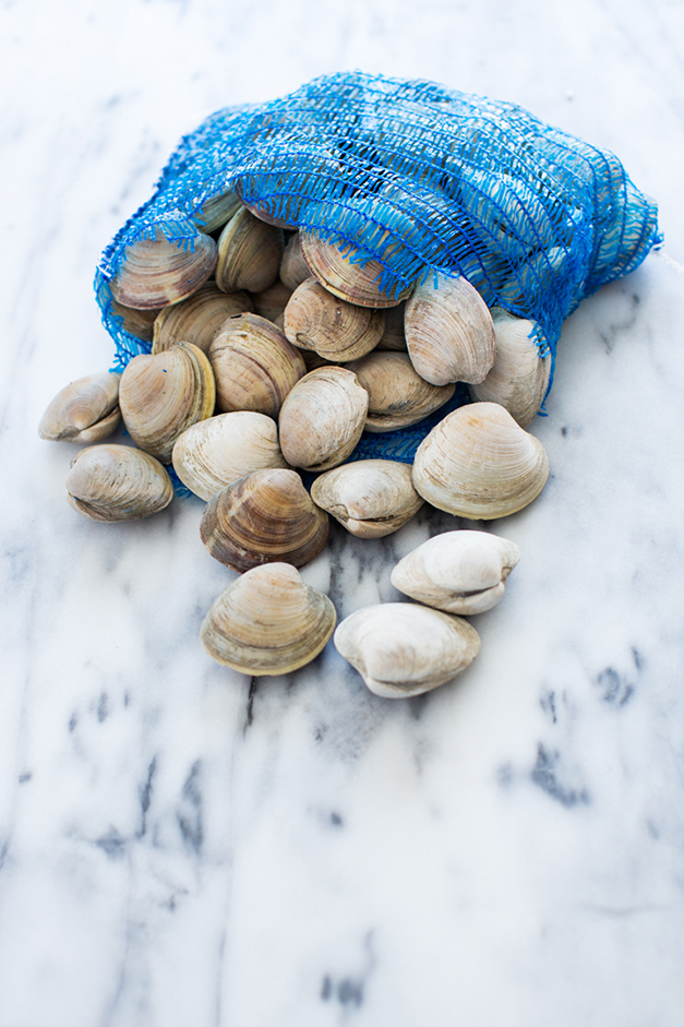 Bag of Clams