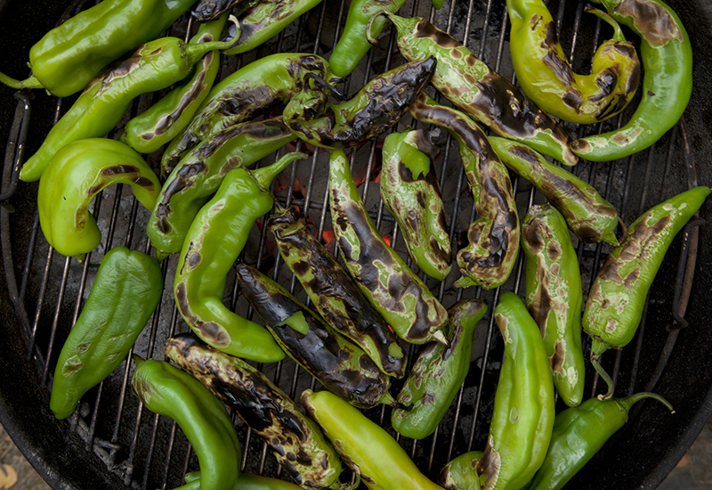 A Guide to Buying, Roasting and Storing Hatch Chile Peppers