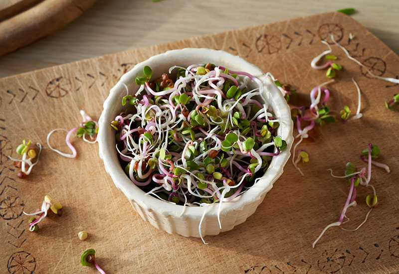 Plant the Seeds for Better Nutrition with Sprouts