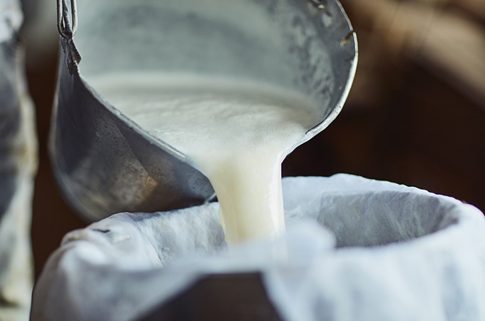 Unprocessed milk being poured from a bucket into a container on a dairy farm