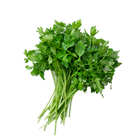 A Bunch of Fresh Parsley