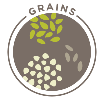 Club Fx Whole Grains Pillar Graphic