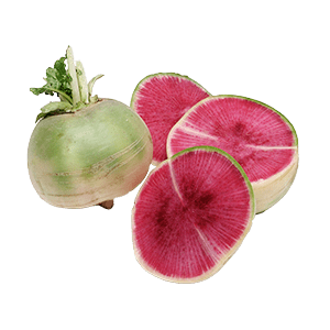 Watermelon Radishes