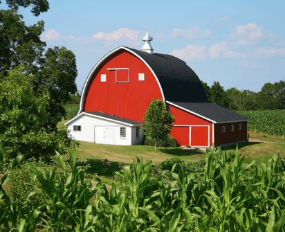 Summer Farm Report 