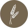Whole grain icon